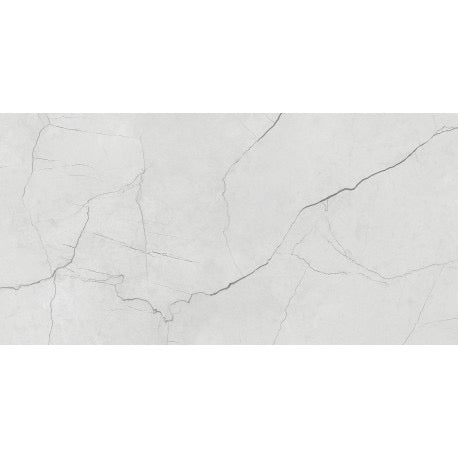 Céramique 24x48 REGIONO - fini mixtes