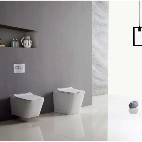 Toilette Murale NIVEA