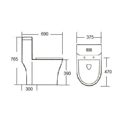 Toilette monopièce INDIGO