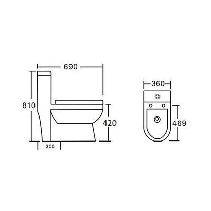 Toilette Monopièce SANÉA